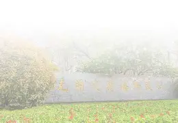 LGD碾压Excel，Mickey爆发神勇