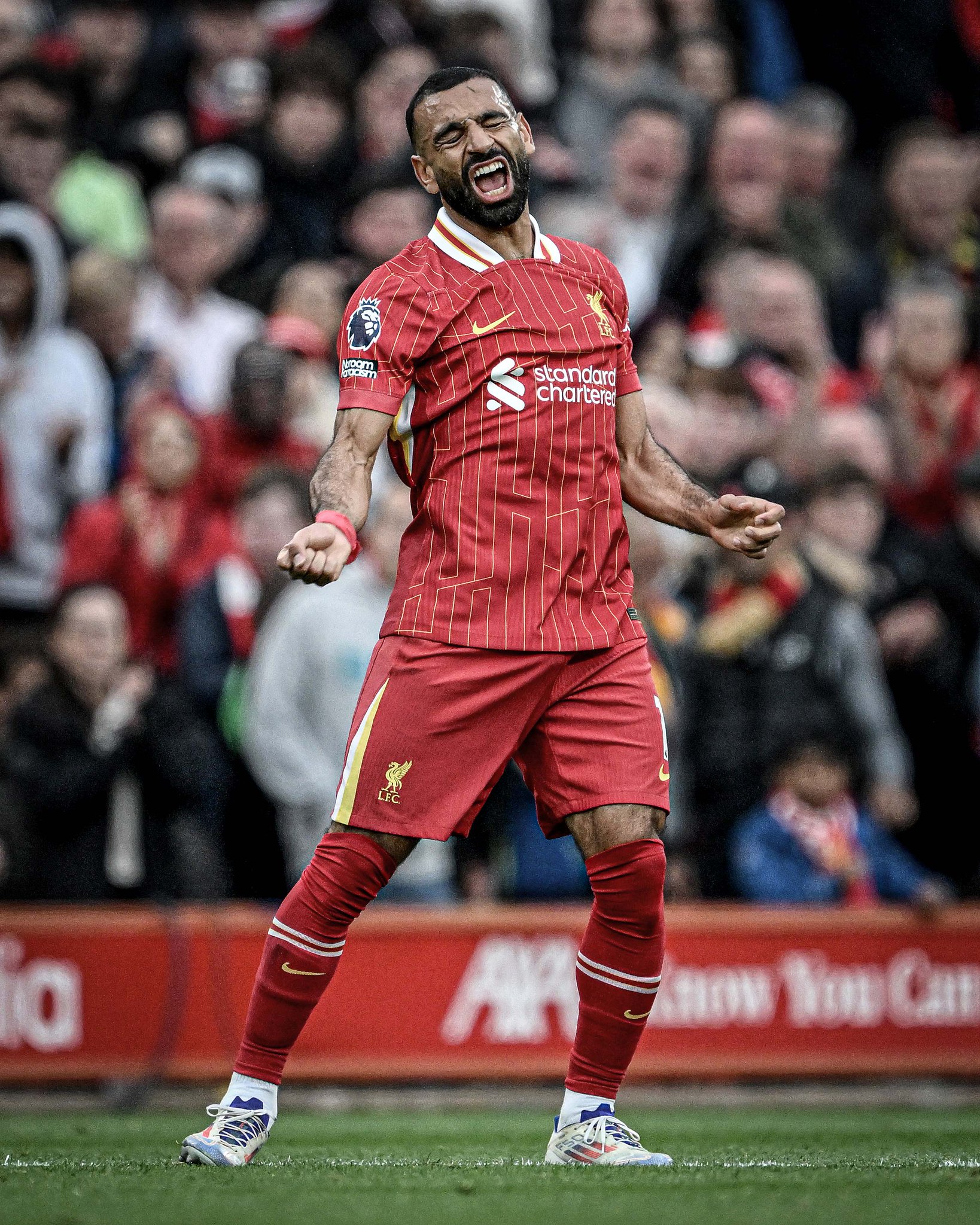 包含萨拉赫接连两场进球助利物浦赢盘的词条